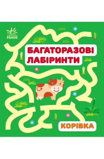 КНИГА Багаторазові лабіринти: