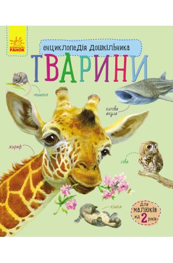 Книга Энциклопедия дошкольника