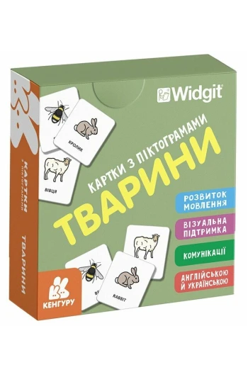 КНИГА Картки з піктограмами:
